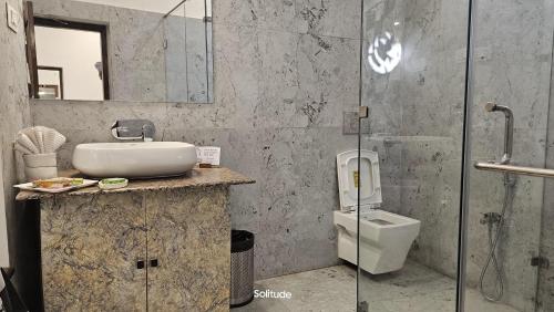 a bathroom with a sink and a toilet at Solitude, The Boutique Hotel in Haldwāni