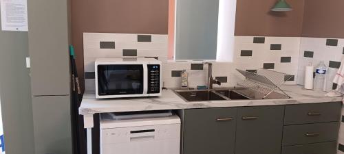 un comptoir de cuisine avec un micro-ondes et un évier dans l'établissement Gîte la pause picarde, à Franleu