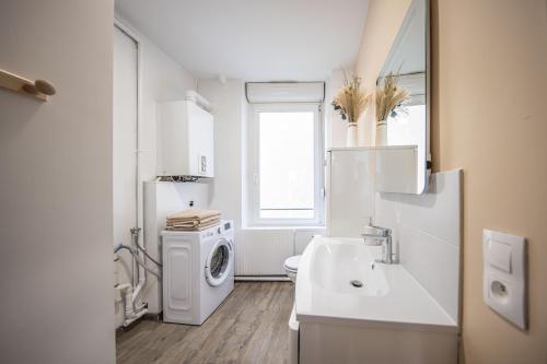 une salle de bain avec un lavabo et une machine à laver dans l'établissement Le Blue Chic - Nancy Thermal, à Nancy