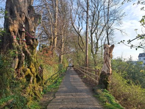 a path in the woods with a fence and trees at Kates Place Studio 1 in Donegal