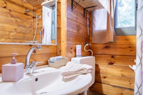 a bathroom with a sink in a wooden cabin at Country lodging in Manot in Manot