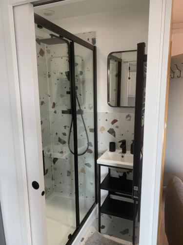 une salle de bain avec une douche en verre et un lavabo dans l'établissement Duplex avec terrasse à 10 minutes à pied de la plage, à Villers-sur-Mer