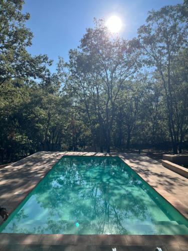 a swimming pool with trees in the background at El Cielo de la Vera in Villanueva de la Vera