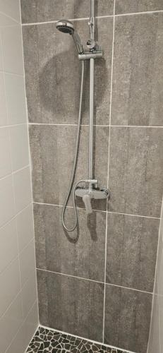una ducha con cabezal de ducha en un baño en Duplex 2 chambres avec extérieur, en Suze-la-Rousse