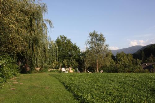 a grass field with a tree and a path at Haus Ploner - Pichlerhof in Chienes