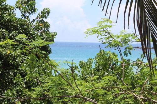 a view of the ocean through the trees at Clara's Beach Inn in Trincomalee