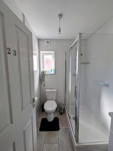 a bathroom with a toilet and a walk in shower at Cosy Single Room near Heathrow Airport in Hounslow