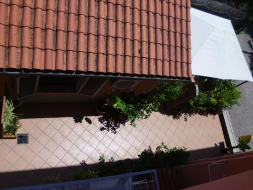 Gallery image of Hotel Stella Marina in Acciaroli