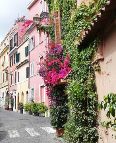 Apartment in Rome-Trastevere - Amorhome
