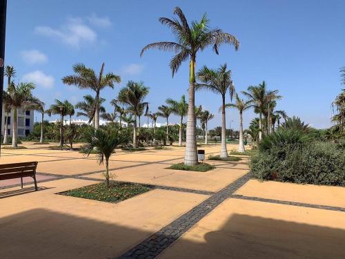 Un jardín fuera de condomínio vila verde Pepper T0 e T1