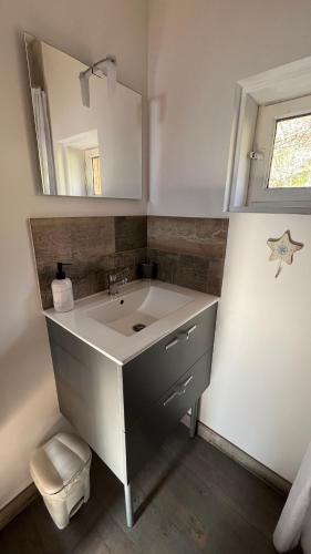 une salle de bain avec un lavabo et un miroir dans l'établissement studio dans un chalet en montagne, à Saint-Pancrasse