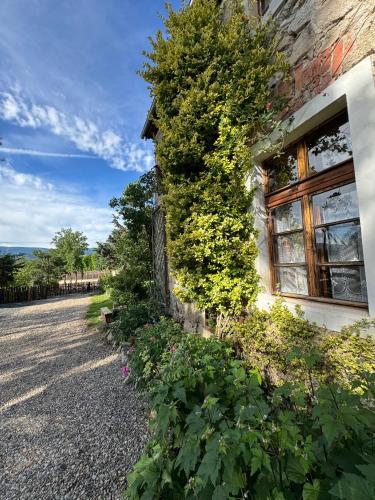 Czerwony Dworek 8 - Agroturystyka Karkonosze