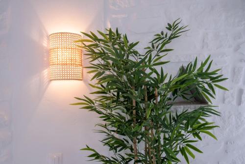 a green plant in a room with a lamp at Cavos Paros Private Pool Oasis in Aliki