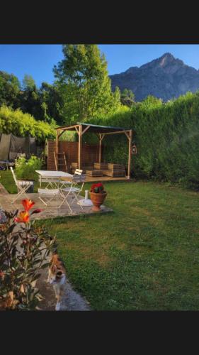 a cat standing in the grass in a yard at Au bord de l eau in Surba
