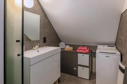 科克赛德Zeezonzand 0202的带水槽和洗衣机的浴室