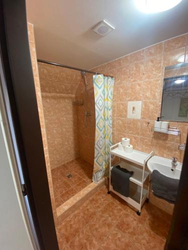 a bathroom with a shower and a sink at Penzion Zvonička in Trutnov