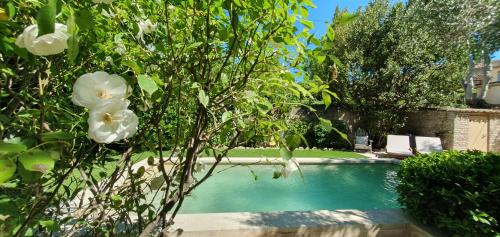 Maison d'hôtes La Bastide de Patou photo 12