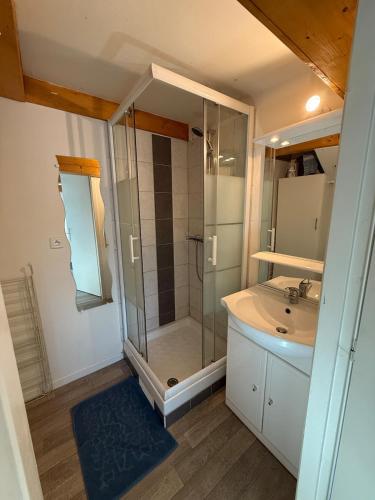 une salle de bain avec douche et lavabo dans l'établissement Studio confortable proche gare - Escale Belfortaine, à Belfort