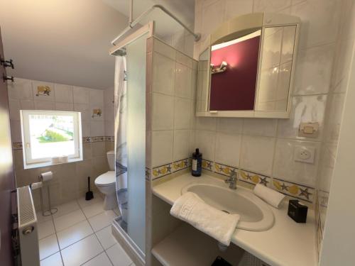 a bathroom with a sink and a toilet and a mirror at La Solognote-Châteaux & Beauval in Contres