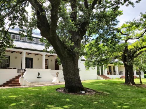 a house with two trees in the yard at Keerweder Cottages in Franschhoek