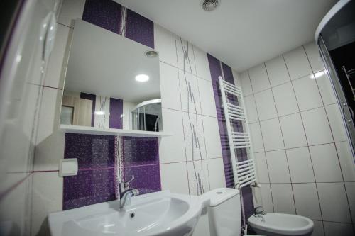 a bathroom with a sink and a toilet at Boierița Home Stay in Fundu Moldovei