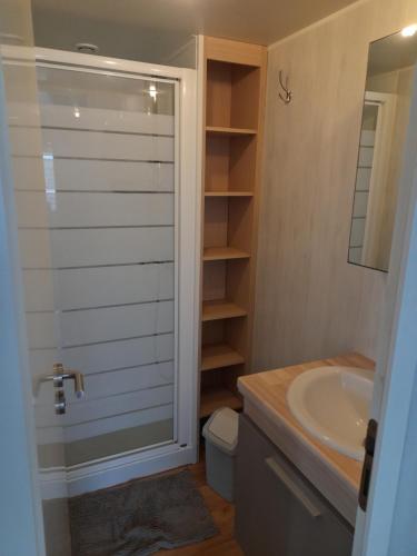 une salle de bain avec une douche, un lavabo et des toilettes dans l'établissement Bungalow Natherem a Saint Julien en Born, à Saint-Julien-en-Born