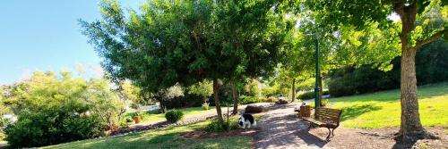 Taman di luar ליד המעיין