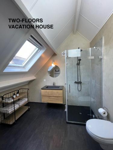 a bathroom with a shower and a sink and a toilet at Huis aan Honte in Dishoek