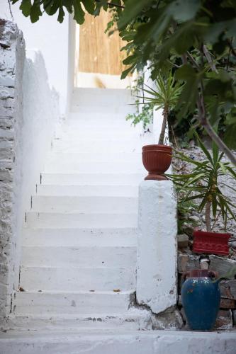 a stairway with a vase on top of a column at Central Vila 5 in Durrës