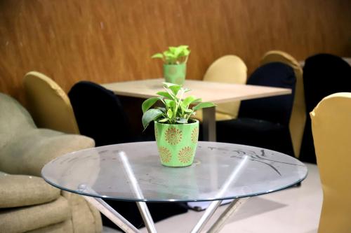 a glass table with a potted plant on top of it at Posh Suites - Golf Course Road in Gurgaon