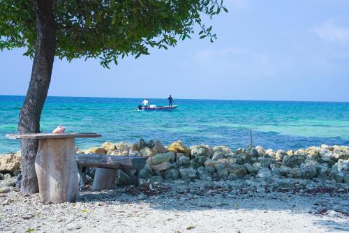 a tree and a bench on the beach with a boat in the water at Villa Luz Coastal Sanctuary in Tintipan Island