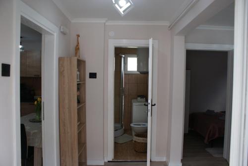 a hallway with a bathroom with a toilet in a room at Apartmani Djordjevic in Belgrade