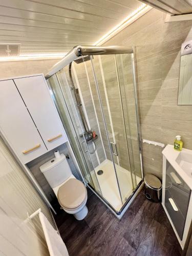 une petite salle de bain avec douche et toilettes dans l'établissement Charmand studio mansardé dans le centre ville de Cannes, à Cannes