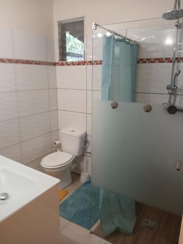 ein Badezimmer mit Toilette und Glasdusche in der Unterkunft Maloubière locations in Les Anses-dʼArlets