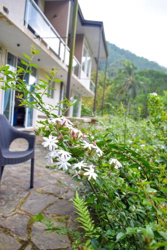 a bush with white flowers in front of a building at Flaming Tree Resorts in Kiriwan Eliya