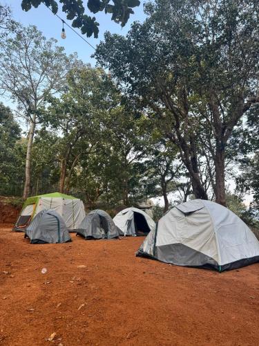 a group of tents in a field with trees at The Tribe Yelagiri Camping in Yelagiri