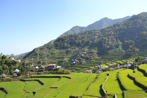 Gallery image of Batad View Inn and Restaurant in Banaue
