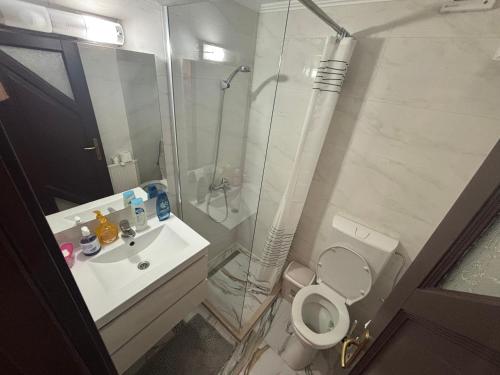 a bathroom with a shower and a toilet and a sink at Apartament SUN Drăgășani in Drăgăşani