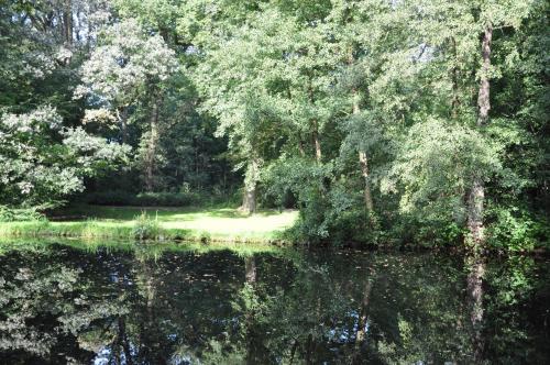 a view of a pond with trees in the background at MUNTE - Wellnesshotel am Stadtwald in Bremen