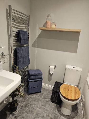 a bathroom with a toilet and a sink and blue towels at Lakefront Lodge with Hot Tub - Aylesbury Lodge in Shepton Mallet