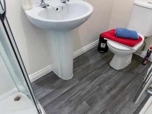 a bathroom with a sink and a toilet at 3 Telford Mews in Dumfries