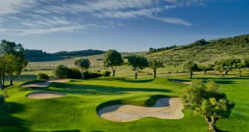 Sunny Golf
