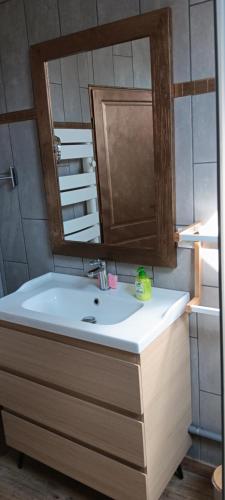 une salle de bain avec un lavabo et un miroir dans l'établissement Gite la pause picarde, à Franleu