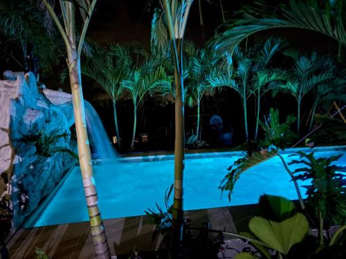 a swimming pool in a resort with palm trees at Casa tipica in Fortuna