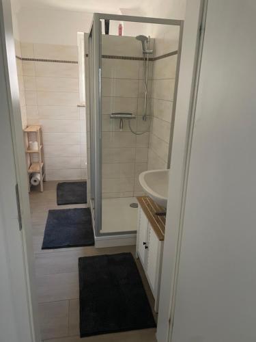 a small bathroom with a shower and a sink at Wohnen in der alten Max Selbmann Villa in Hohenstein-Ernstthal
