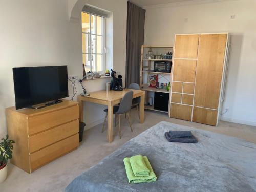 a room with a bedroom with a desk and a television at Wohnen in der alten Max Selbmann Villa in Hohenstein-Ernstthal