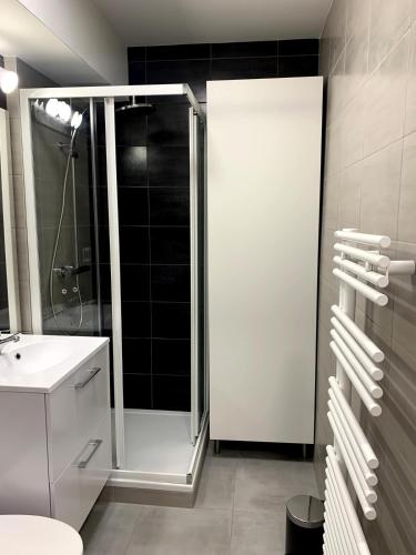 une salle de bain avec douche et lavabo dans l'établissement Appartement T1 proche aéroport, à Saint-Jacques-de-la-Lande