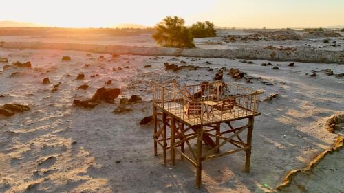 a bird cage in the middle of a desert at El Huarango Eco Lodge in La Huaica