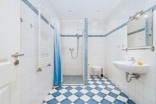 a bathroom with a shower and a sink and a toilet at Kuddels Fischerhus 2 in Börgerende-Rethwisch