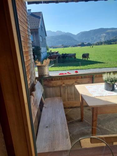 Sonnen Bauernhof Schneider